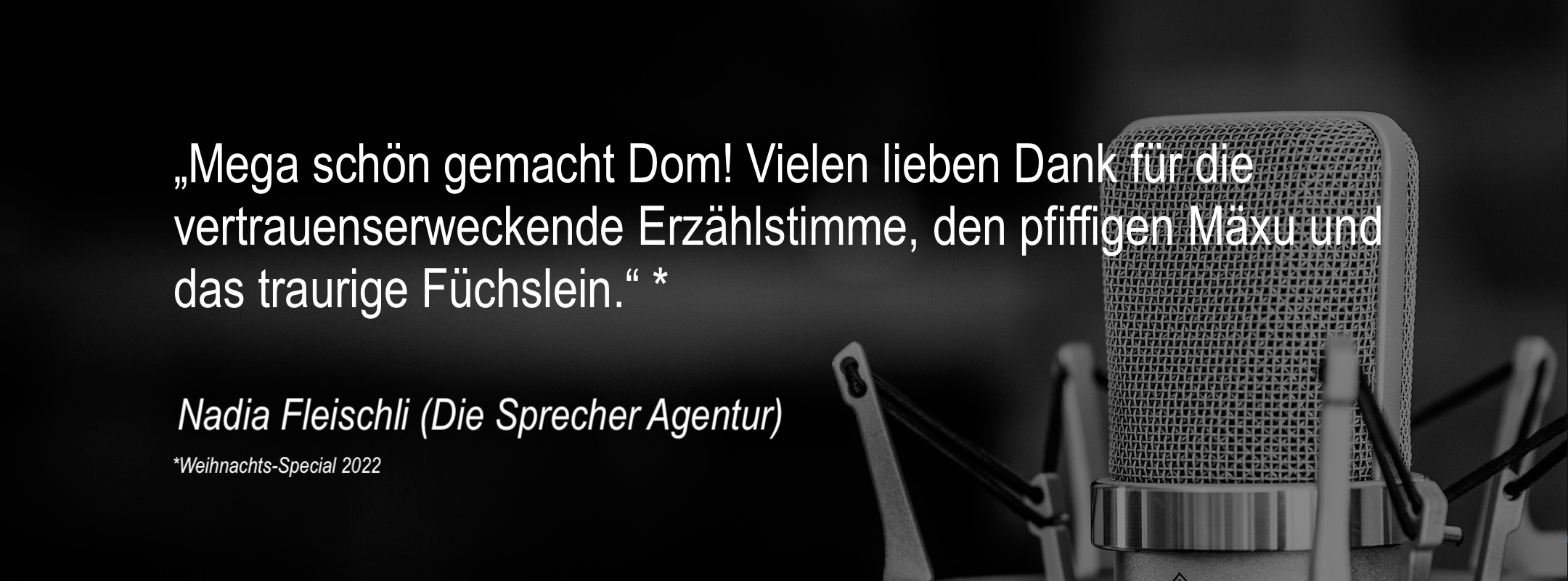 Die Sprecher Agentur.jpg